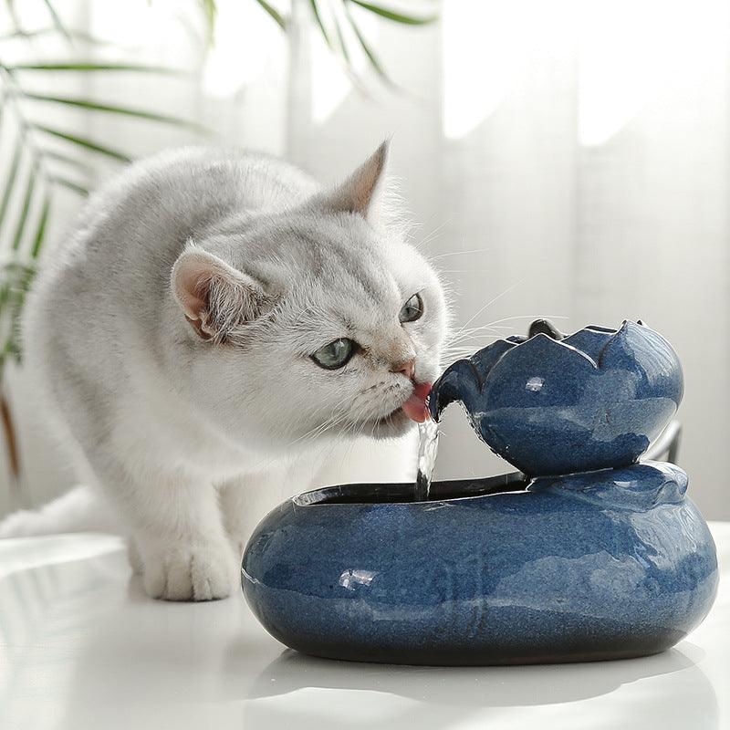 Pet Oasis: Resin Cat Feeder And Water Dispenser